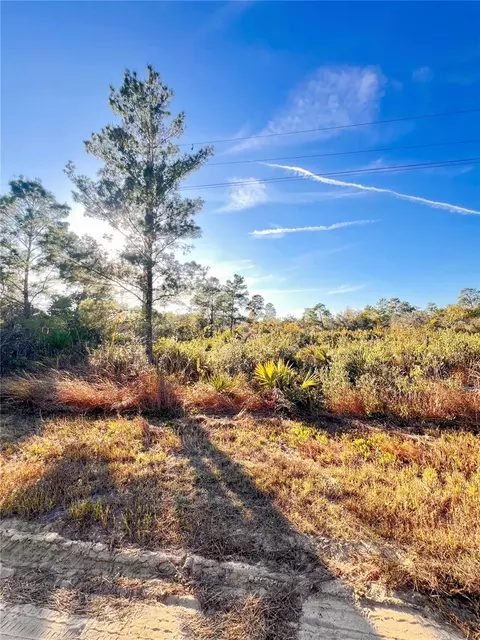 110 Dartmoor Ave, Lake Placid, FL 33852