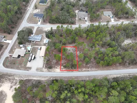 9844 N Emellia Ave, Citrus Springs, FL 34433