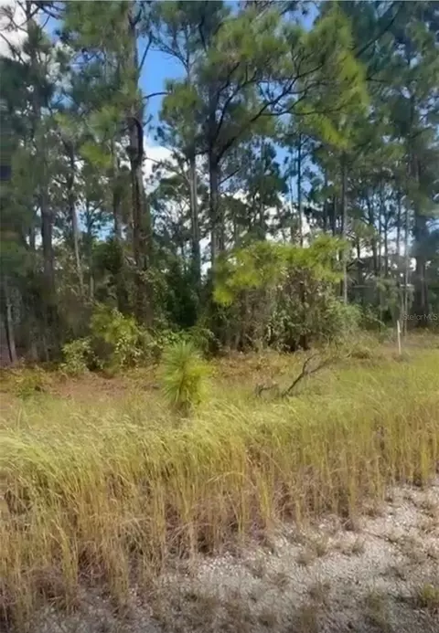 334 Sun Ct, Lake Placid, FL 33852