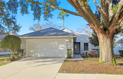 6025 Spring Creek Ct, Mount Dora, FL 32757