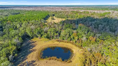 View/Area - 27737 County Road 44a, Eustis, FL 32736 photo 5 of 10