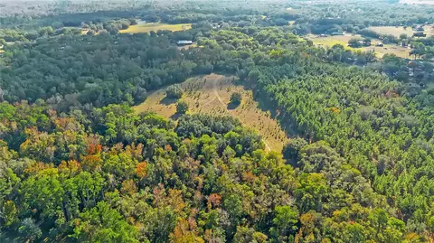 View/Area - 27737 County Road 44a, Eustis, FL 32736 photo 4 of 10