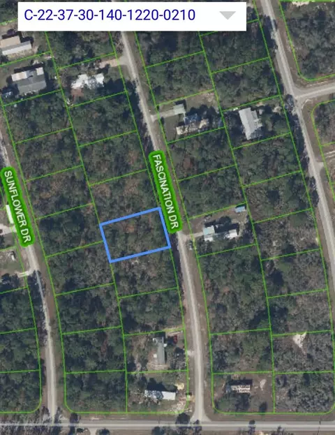 108 Fascination Dr, Lake Placid, FL 33852