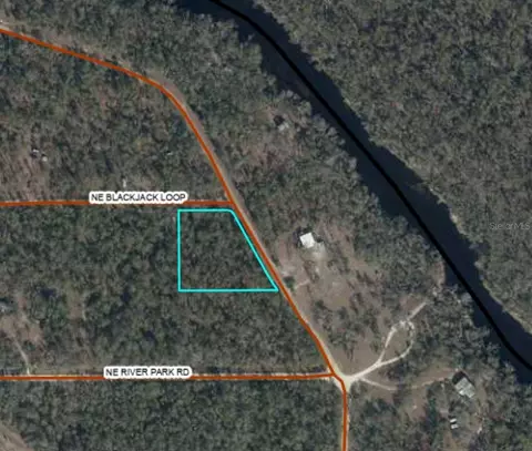 Ne Timber River Loop, Lee, FL 32059 photo 2