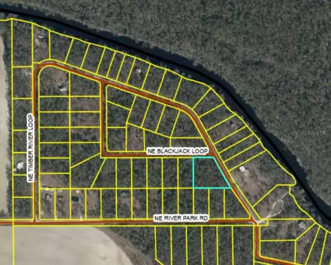 Ne Timber River Loop, Lee, FL 32059 photo 3
