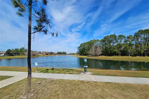 View/Area - 13232 Longacre Dr, Windermere, FL 34786 photo 2 of 3