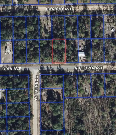 0 Unassigned, Interlachen, FL 32148
