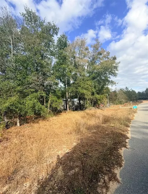 0 Unassigned, Interlachen, FL 32148 photo 6