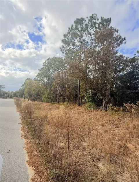 0 Unassigned, Interlachen, FL 32148 photo 4