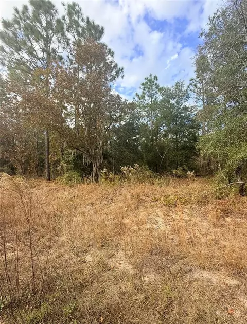 0 Unassigned, Interlachen, FL 32148 photo 5