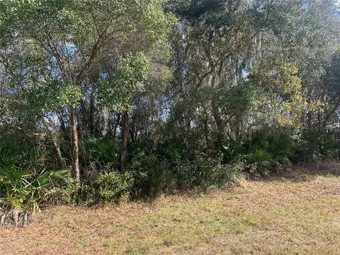 39926 Forest Dr, Eustis, FL 32726