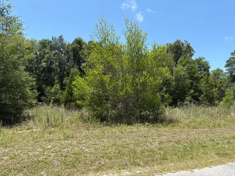 6642 N Flower Ter, Hernando, FL 34442