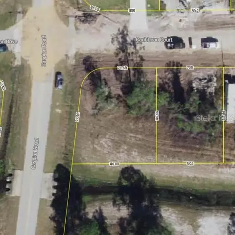 447 Caribbean Ct, Kissimmee, FL 34759