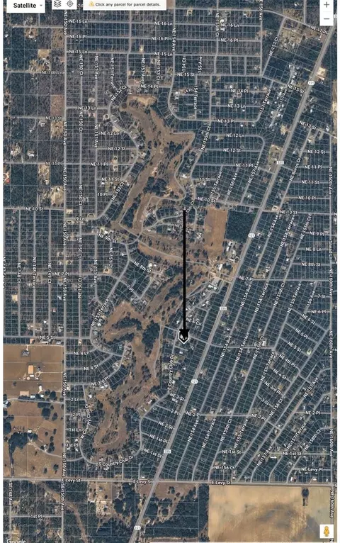 NE 4th Lane, Williston, FL 32696 photo 6