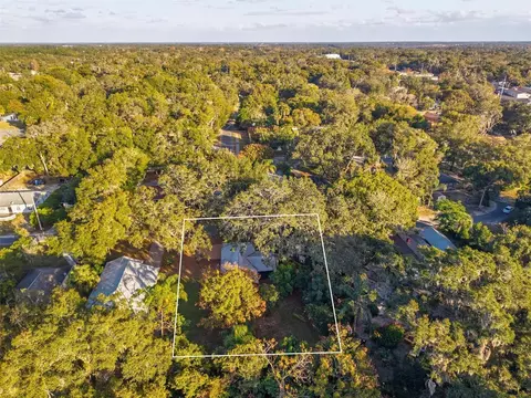 View/Area - 1503 Granite State Ct, Mount Dora, FL 32757 photo 3 of 5