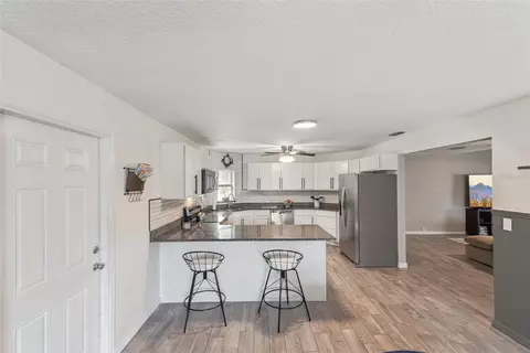 Kitchen - 30109 Coconut Ave, Eustis, FL 32736 photo 4 of 4