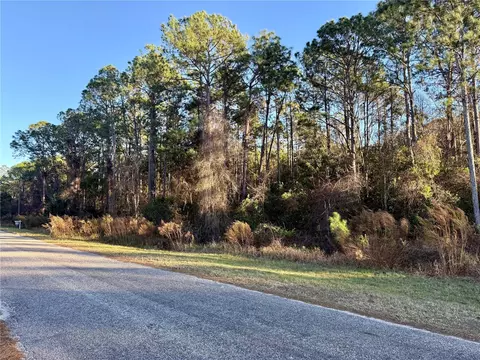 Apricot Avenue, Eustis, FL 32736
