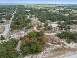1329 Homosassa Ct, Kissimmee, FL 34759