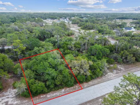 1305 Homosassa Ct, Kissimmee, FL 34759