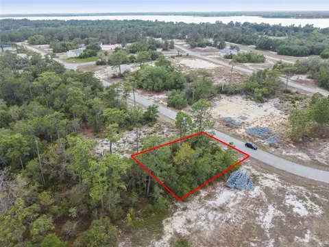 1315 Homosassa Ct, Kissimmee, FL 34759