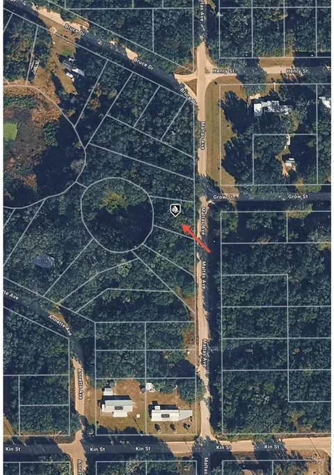 tbd Maltas Ave, Interlachen, FL 32148