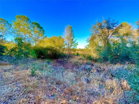 tbd Lakeview Way, Interlachen, FL 32148 photo 2