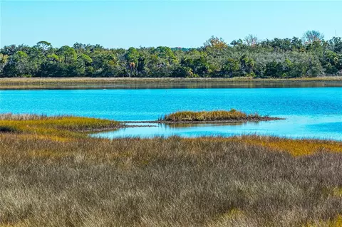 Clark Island, Cedar Key, FL 32625 photo 8