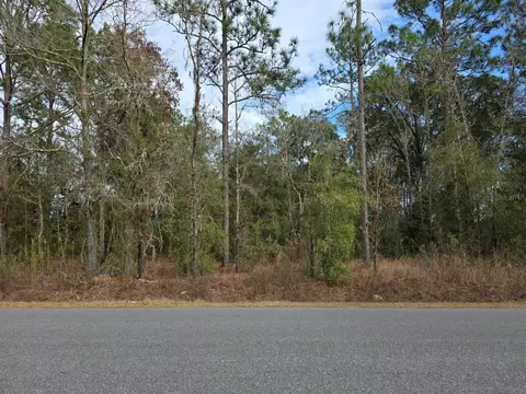 SW 159th Court, Ocala, FL 34481