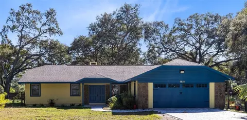 7838 Sloewood Dr, Mount Dora, FL 32757