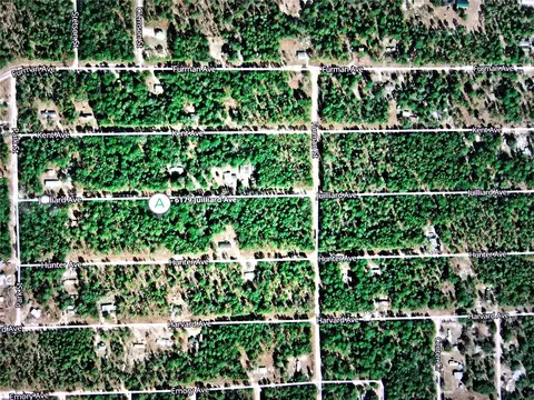 6179 Juilliard Ave, Keystone Heights, FL 32656