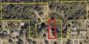 195 Lake Molly Ave, Deland, FL 32724