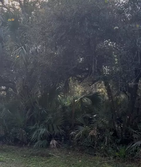 00 Dill Rd, Orlando, FL 32820