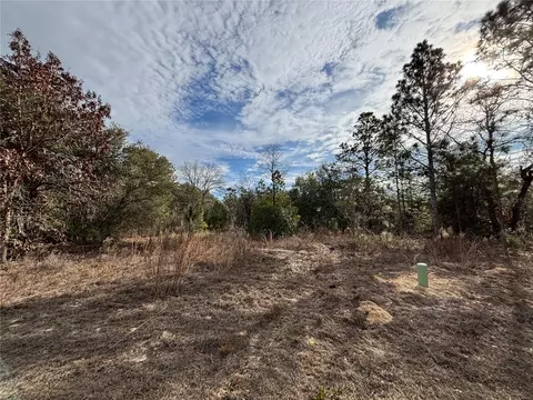 6505 N Varsity Ave, Citrus Springs, FL 34434