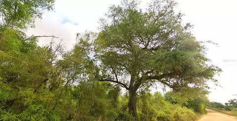 Tower Road, Bascom, FL 32423