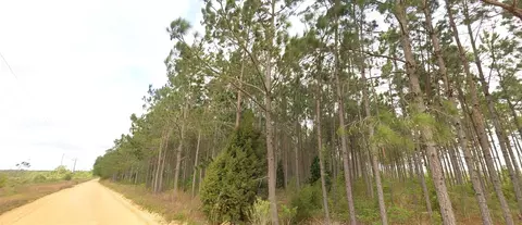 Tower Road, Bascom, FL 32423 photo 8