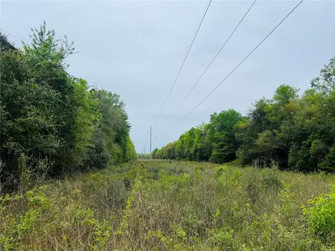 Tower Road, Bascom, FL 32423 photo 5
