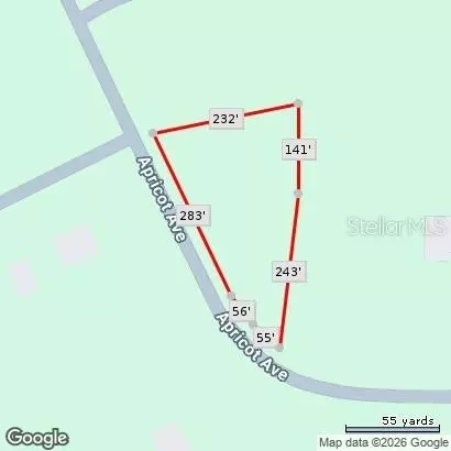 Apricot Avenue, Eustis, FL 32736 photo 3