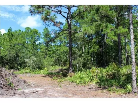 Apricot Avenue, Eustis, FL 32736 photo 2