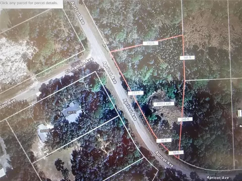 Apricot Avenue, Eustis, FL 32736 photo 4