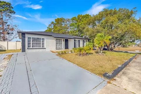 3804 Anthony Ln, Orlando, FL 32822