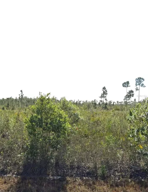 903 Calliandra Dr, Indian Lake Estates, FL 33855