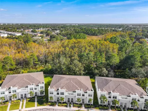 View/Area - 17230 Blessing Dr, Clermont, FL 34714 photo 11 of 11