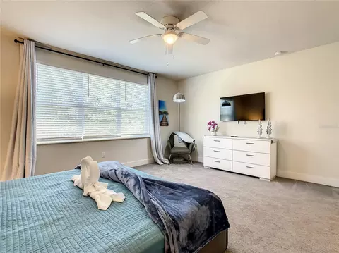 Bedroom - 17230 Blessing Dr, Clermont, FL 34714 photo 14 of 14