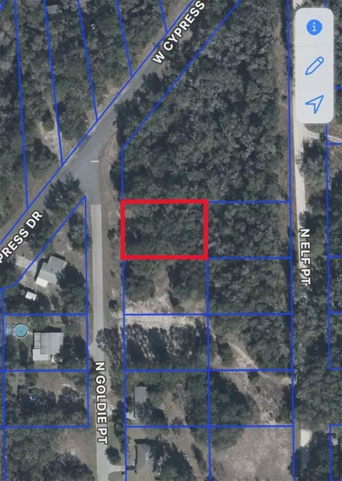 12405 N Goldie Pt, Dunnellon, FL 34433