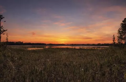 8335 Florida Boys Ranch Rd, Groveland, FL 34736