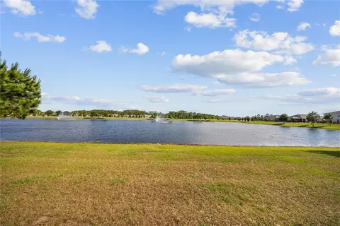 View/Area - 6798 Grace Hammock Rd, Harmony, FL 34773 photo 14 of 15