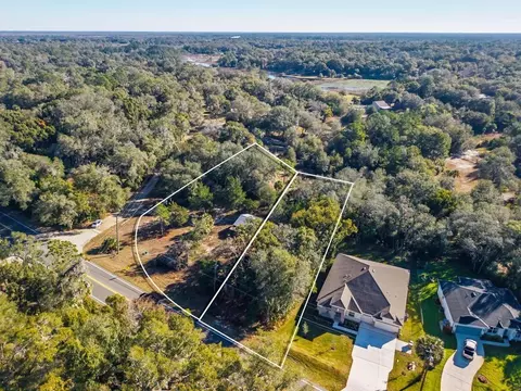 31060 Lochmore Cir, Sorrento, FL 32776