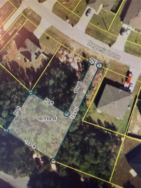 244 Begonia Ln, Kissimmee, FL 34759