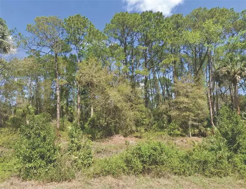 318 Redwood Blvd, Georgetown, FL 32139
