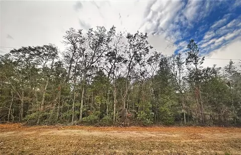 0 Usina Ave, Interlachen, FL 32148 photo 3